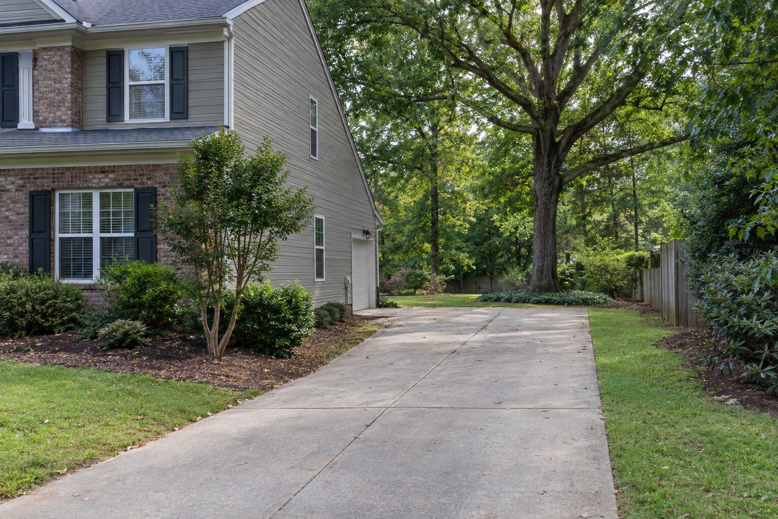 Mature tree beyond a driveway beside a house
