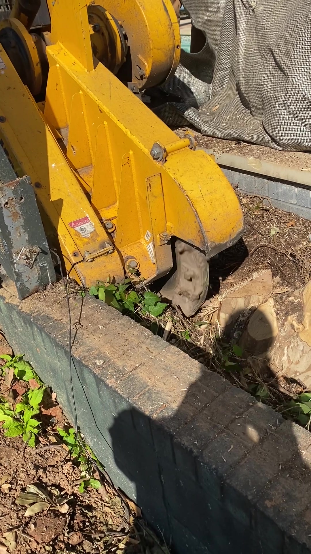Stump grinder working beside a planted bed