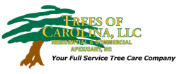 Trees of Carolina, LLC