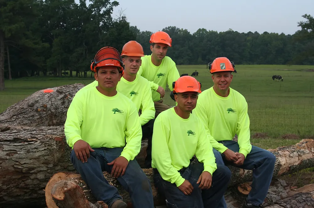 Trees of Carolina crew in hi-vis shirts and helmets seated on large cut logs in a field