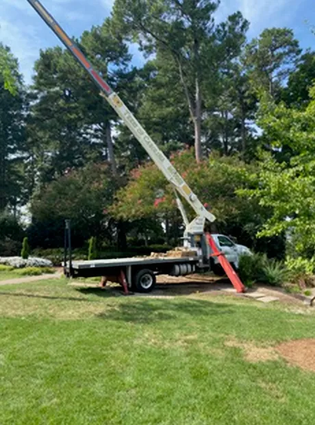 Boom truck with red outriggers set up on a lawn with its boom raised toward tall trees