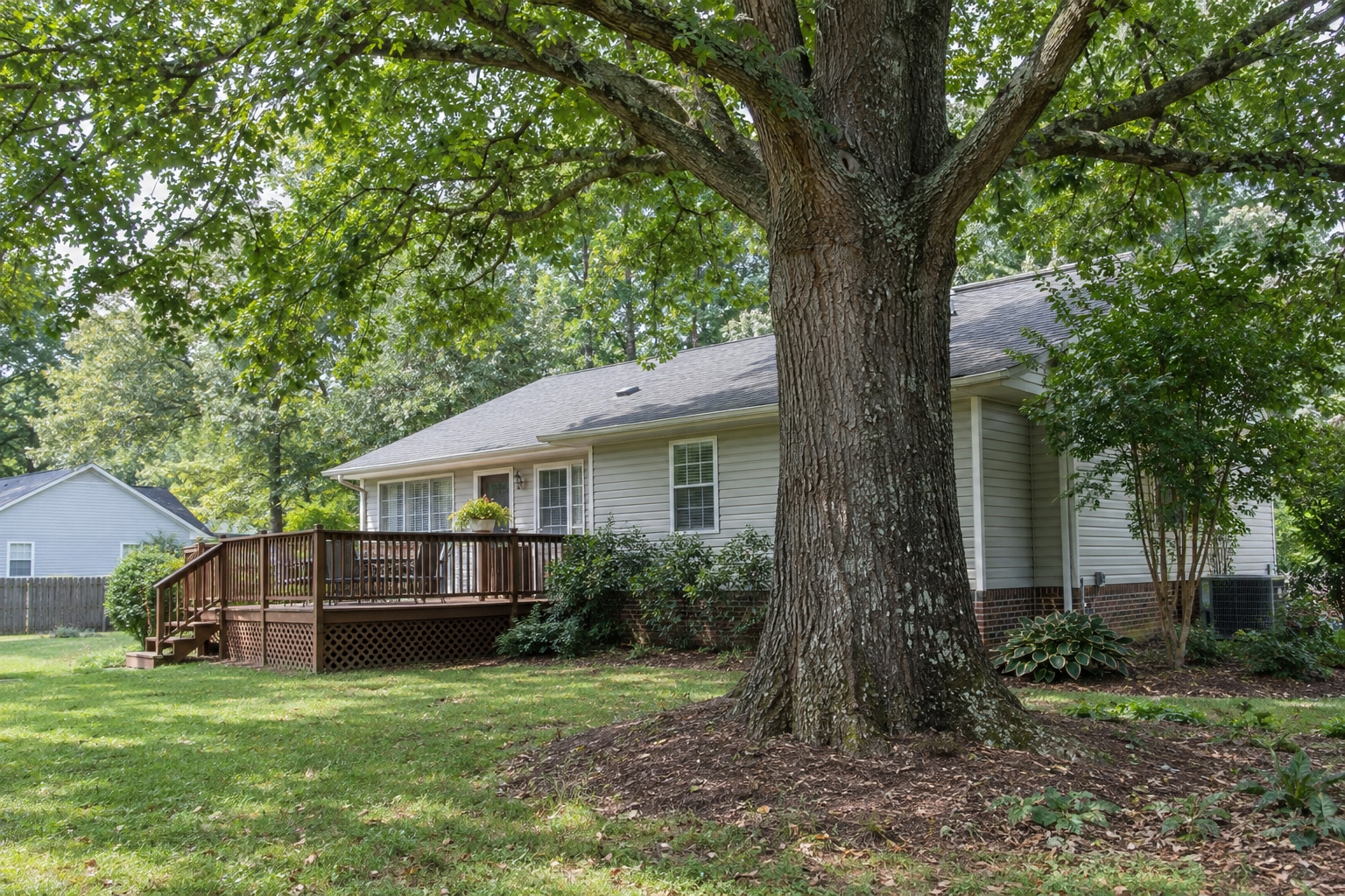 Large tree trunk beside a deck and house