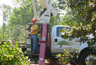 Trees of Carolina Crane Service